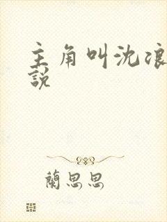 主角叫沈浪的小说