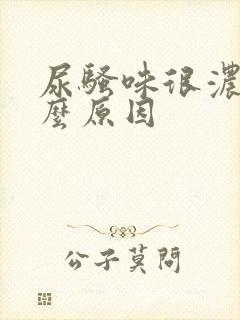 尿骚味很浓是什么原因