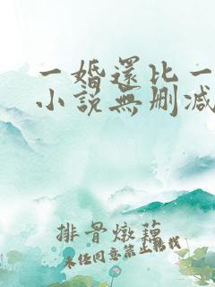 一婚还比一婚高小说无删减版