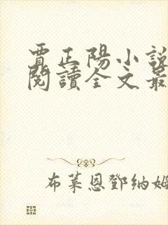 贾正阳小说免费阅读全文最新章节