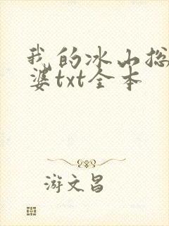 我的冰山总裁老婆txt全本