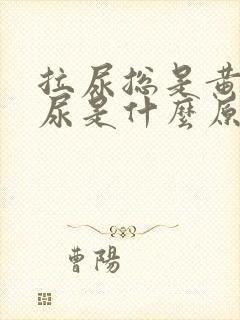 拉尿总是黄色的尿是什么原因