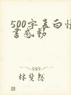 500字表白情书感动