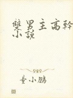 双男主高干军旅小说