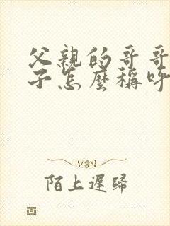 父亲的哥哥的儿子怎么称呼