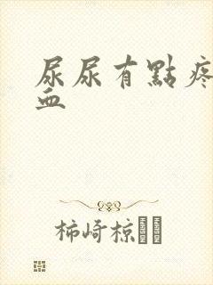 尿尿有点疼还有血