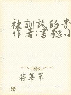 被训诫的贵妃,作者:书懿小说阅读