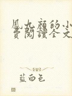 凤九颜的小说免费阅读全文无弹窗