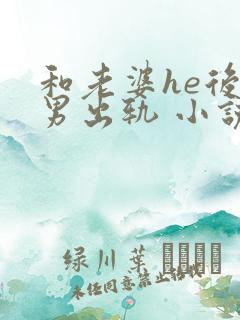 和老婆he后(男出轨 小说在线阅读