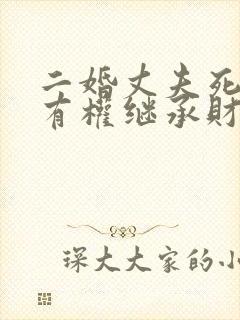 二婚丈夫死后谁有权继承财产