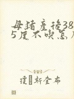 母猪产后38.5度不吃怎么办