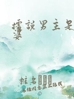 据说男主是我老婆