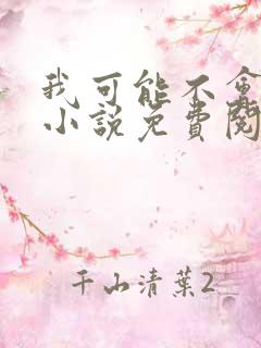 我可能不会爱你小说免费阅读