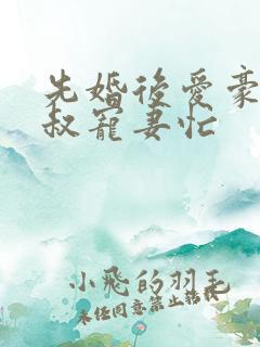 先婚后爱豪门大叔宠妻忙