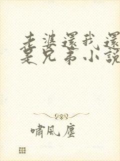 老婆还我还当你是兄弟小说