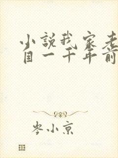 小说我家老婆来自一千年前全文下载