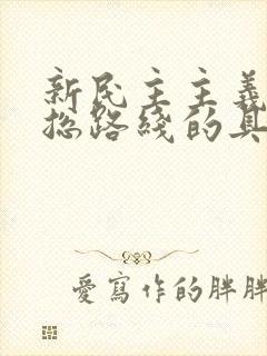 新民主主义革命总路线的具体内容