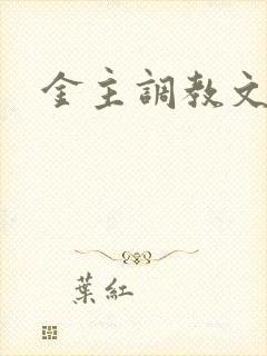 金主调教文