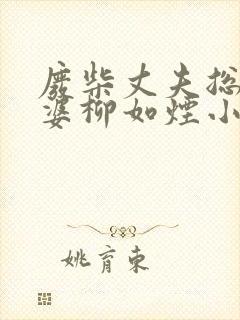 废柴丈夫总裁老婆柳如烟小说