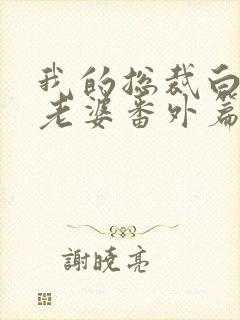 我的总裁白富美老婆番外篇