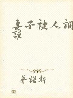 妻子被人调教小说