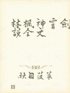 林枫神霄剑宗小说全文
