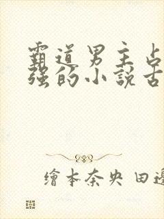 霸道男主占有欲强的小说古言