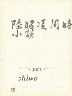 陆昭凌周时阅的小说