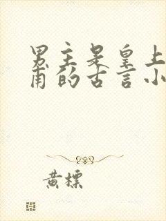 男主是皇上姓皇甫的古言小说