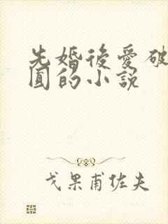 先婚后爱破镜重圆的小说