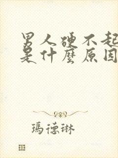 男人硬不起来了是什么原因