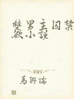 双男主囚禁占有欲小说