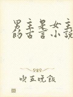 男主是女主舅舅的古言小说