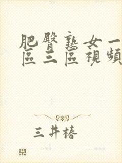 肥臀熟女一区二区三区视频