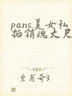 pans美女私拍销魂大尺度