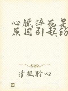 心脏猝死是什么原因引起的