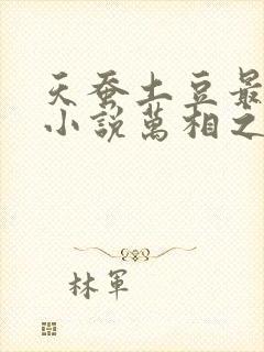 天蚕土豆最新的小说万相之王