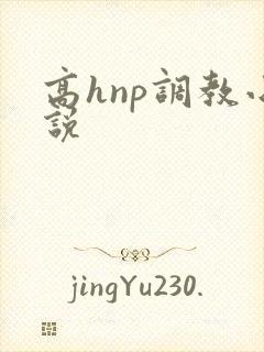 高hnp调教小说