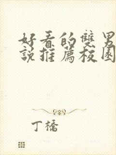 好看的双男主小说推荐校园文