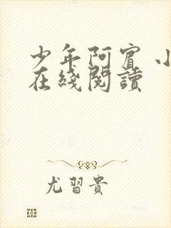 少年阿宾 小说在线阅读