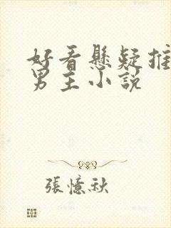 好看悬疑推理双男主小说