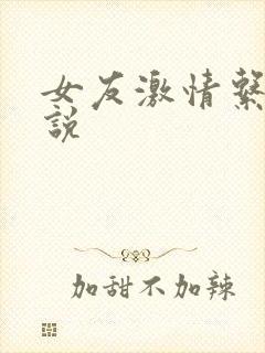 女友激情系列小说