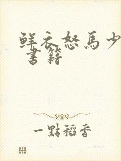 鲜衣怒马少年时 书籍