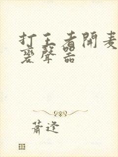 打王者开麦用的变声器