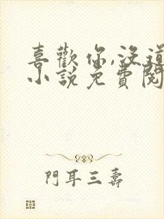 喜欢你,没道理小说免费阅读