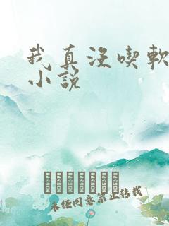 我真没吃软饭的小说