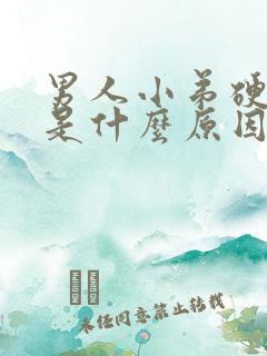 男人小弟硬不起是什么原因