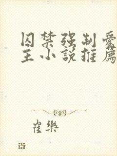 囚禁强制爱双男主小说推荐