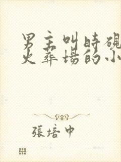 男主叫时砚追妻火葬场的小说