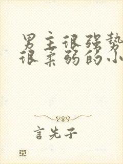 男主很强势女主很柔弱的小说